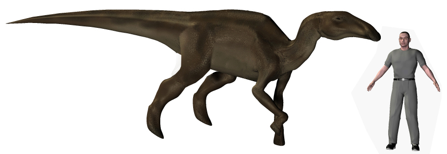 z Edmontosaurus 001.jpg