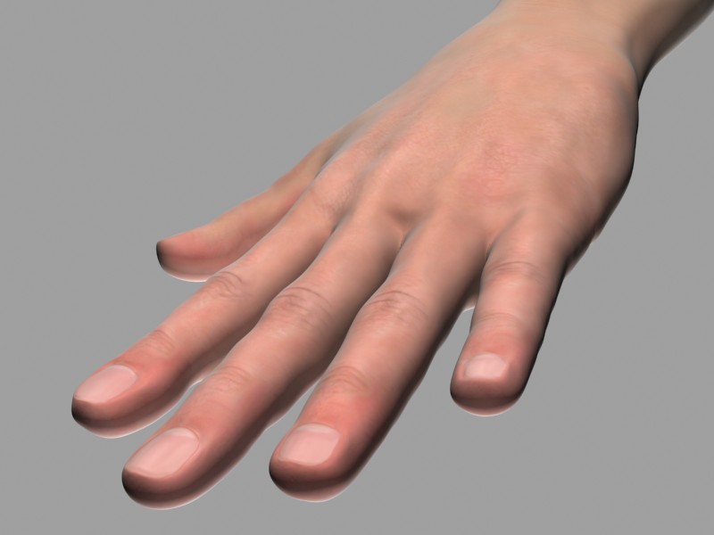 Hand_Render2.jpg