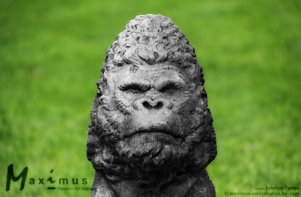 c1_Fabricio Torres gorilla_2_08.jpg