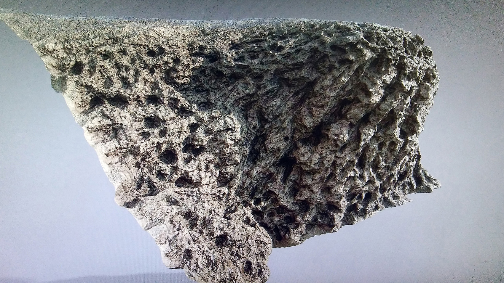 naghi%20hamidi_lava%20(1)