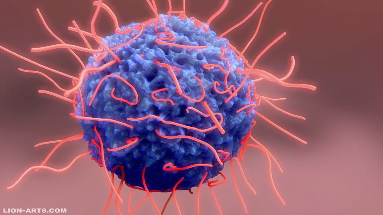 Kidney CellSnaptshot.jpg