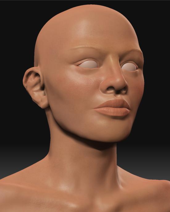 femHead.jpg