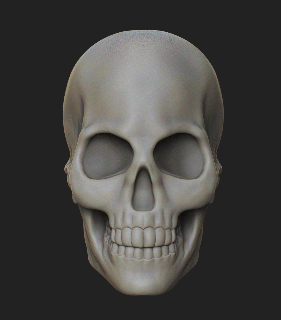 Skull_Comp_1.jpg