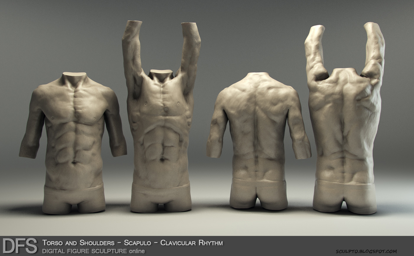 DFS ScapuloClavicularRhythm_0and5_sm.jpg