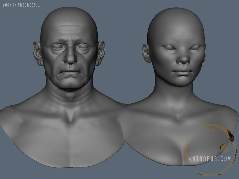 wipmaya001.jpg
