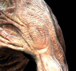 close_up_01.jpg