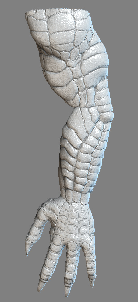 arm-close-up.jpg