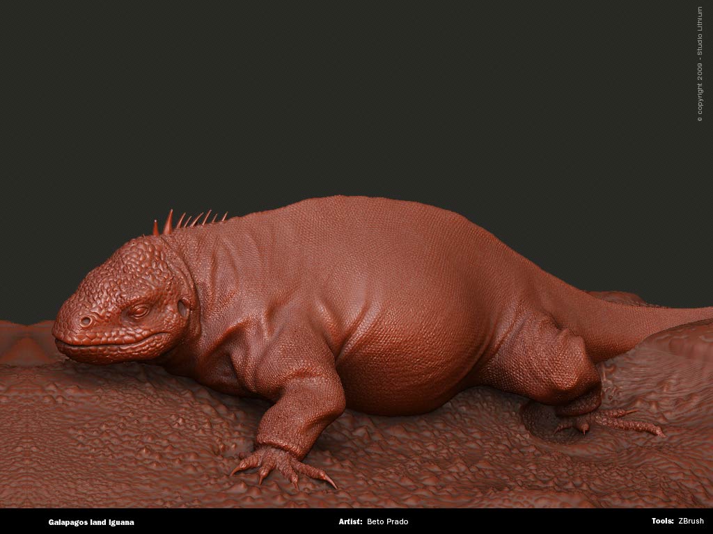 iguana_modeling.jpg