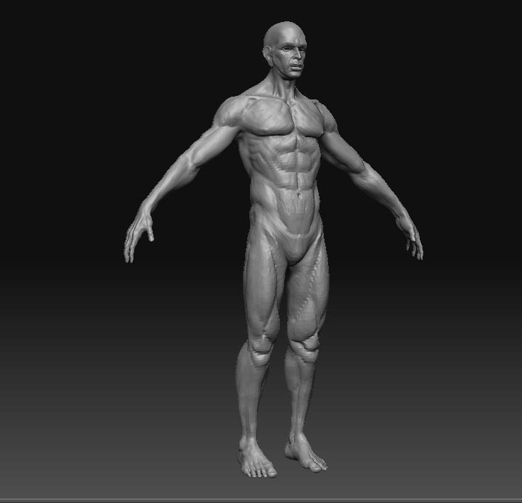 midlleeyewip_5.jpg