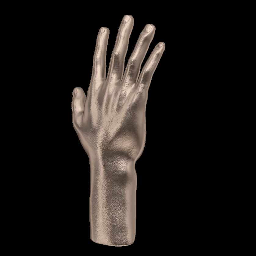 HAND3