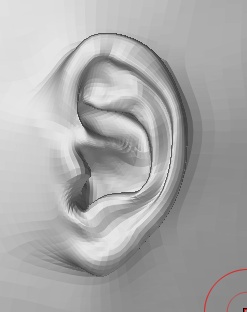ear.jpg