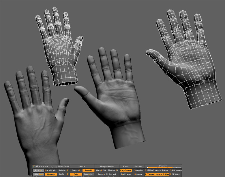 normal_hand.jpg