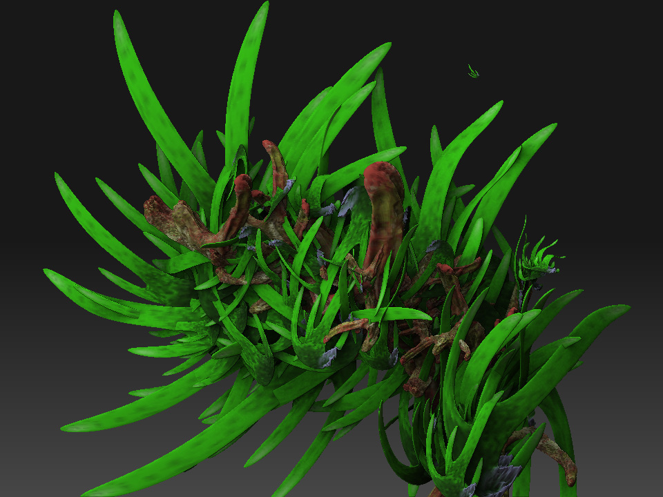 plants_2.jpg