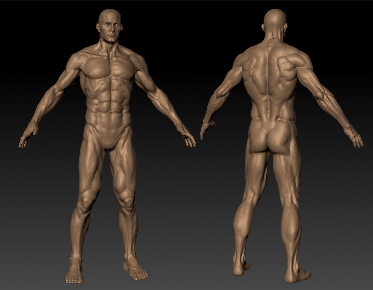 Wip2.jpg