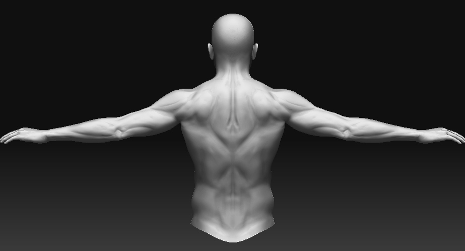 jack back.jpg