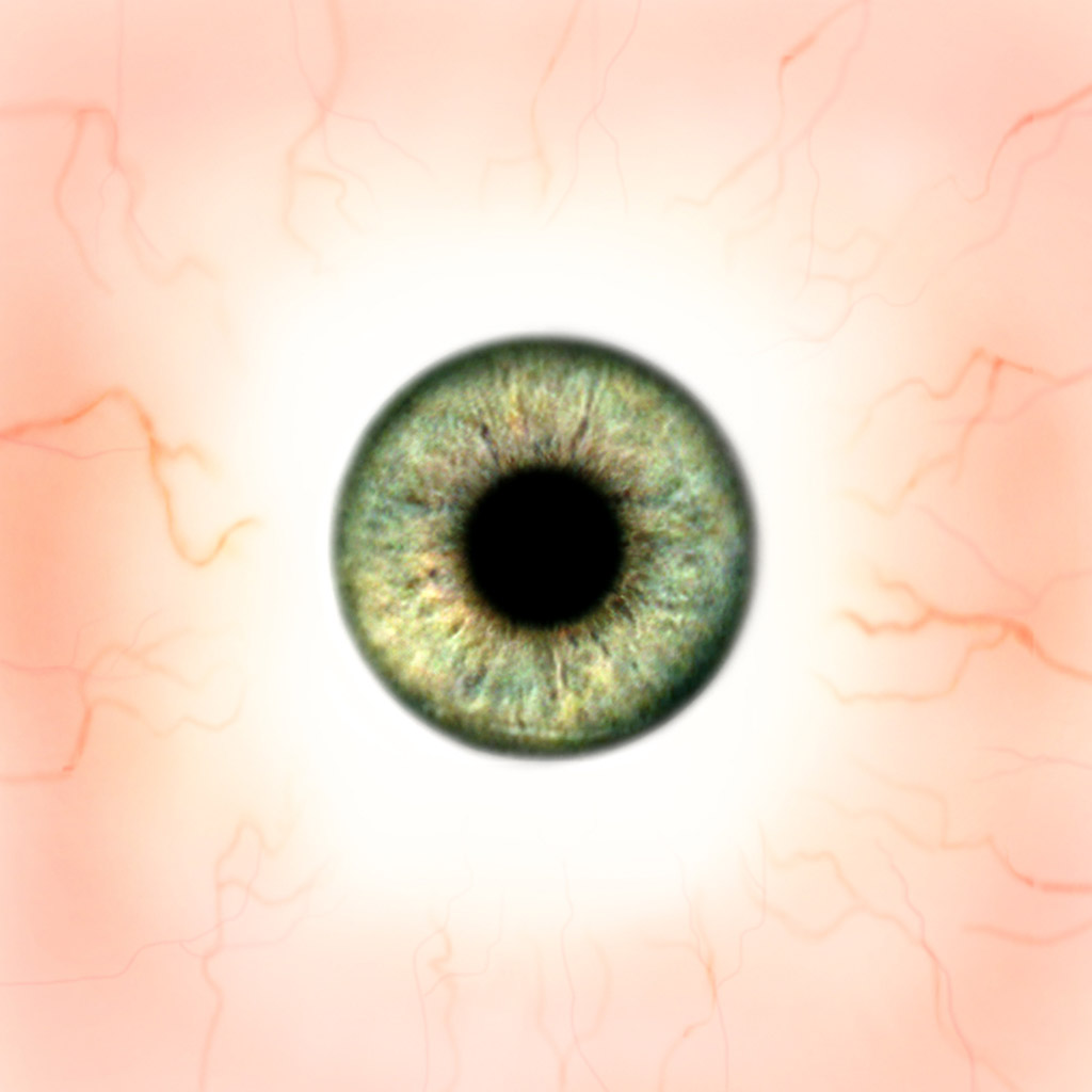 HumanEye_08GreenC1.jpg