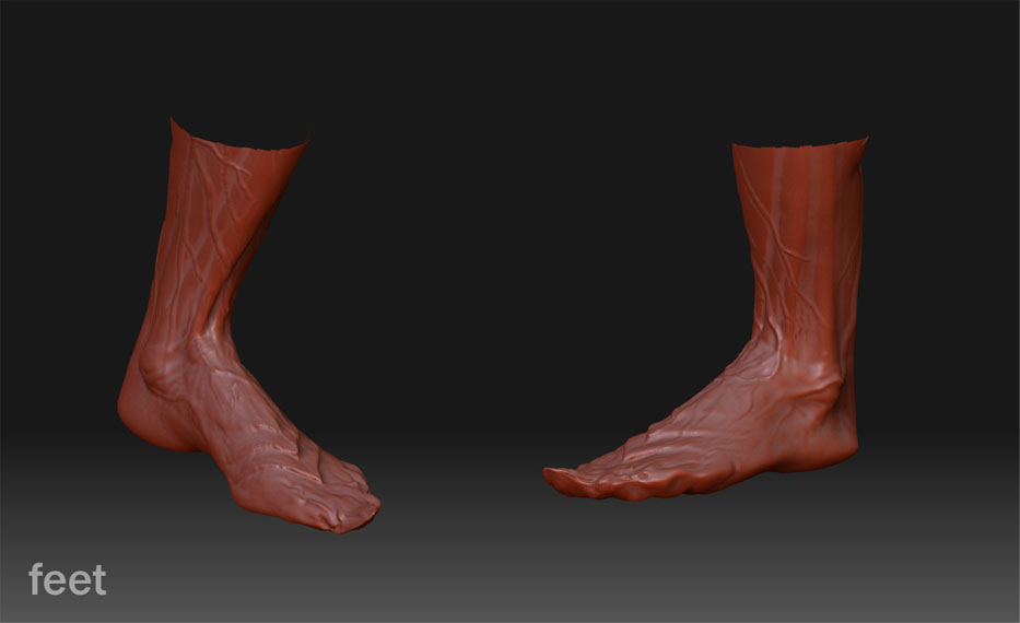 feet.jpg