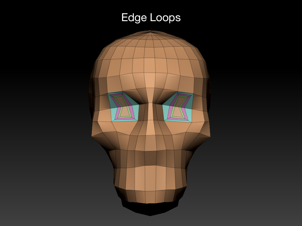 EdgeLoops.jpg