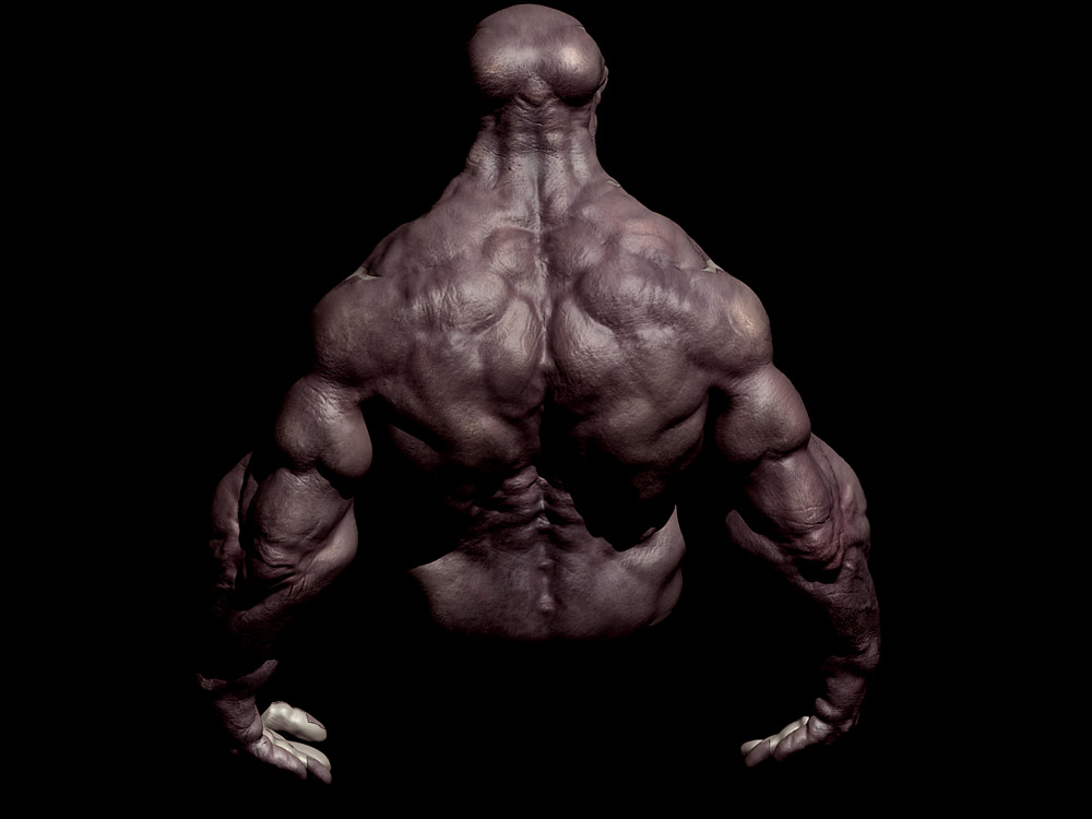 monkeytest3.jpg
