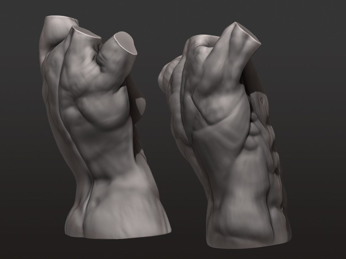 Torso_6.jpg