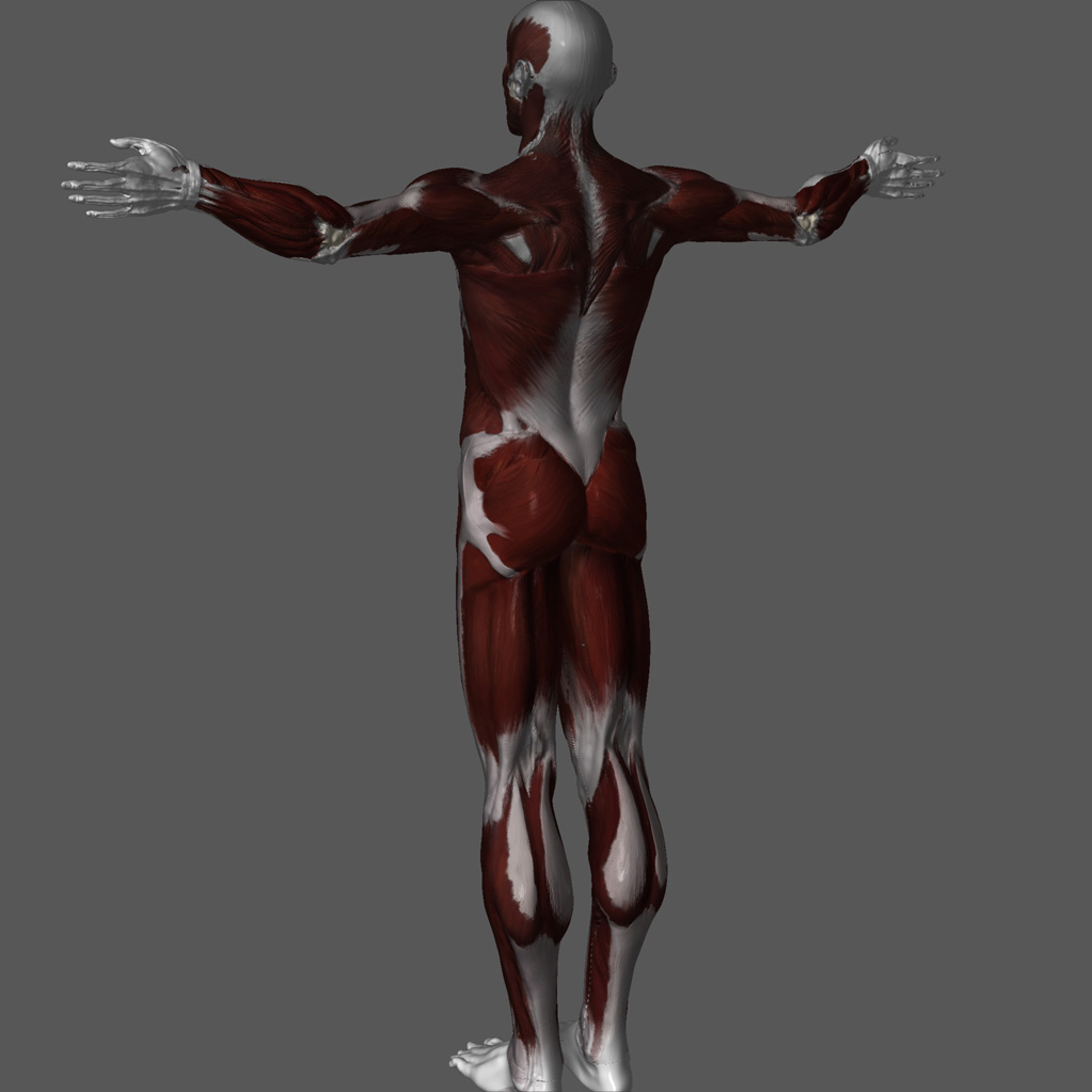 06texture2.jpg