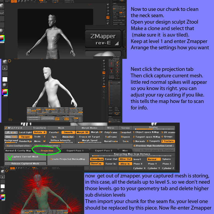 NMS_page5.jpg