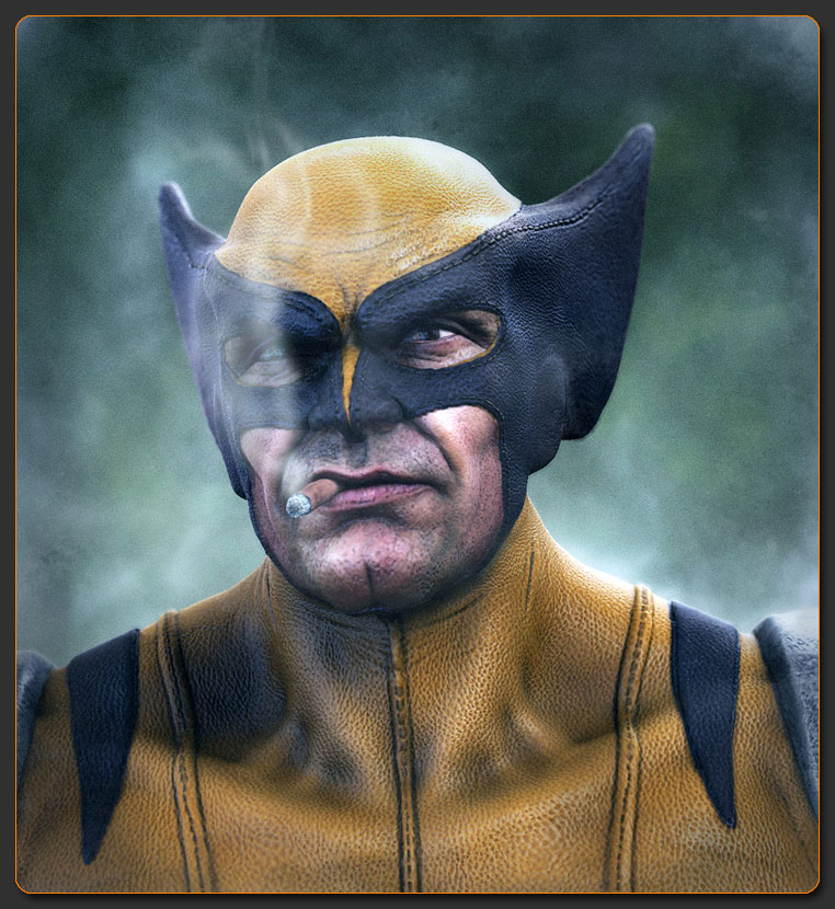 Wolverine.jpg