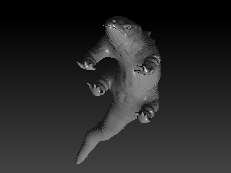 komodo details1.jpg