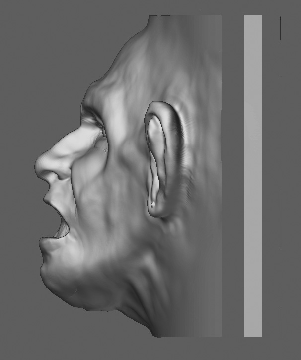 full_side_open_mouth.jpg