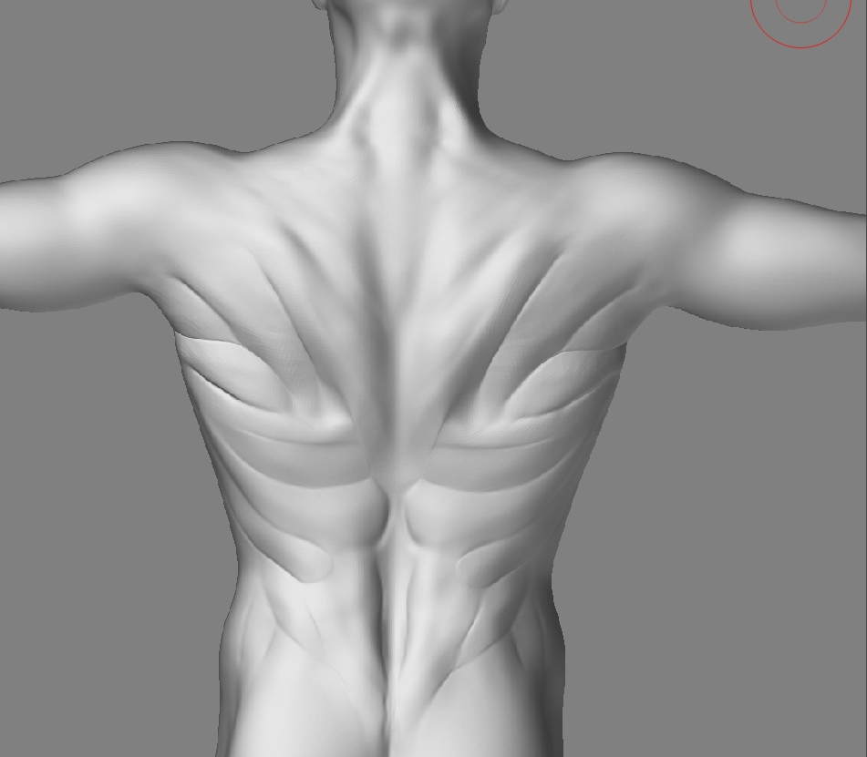 MaleMusclesSculpt_01.jpg