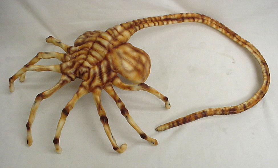 facehuggeroneric2lg.jpg