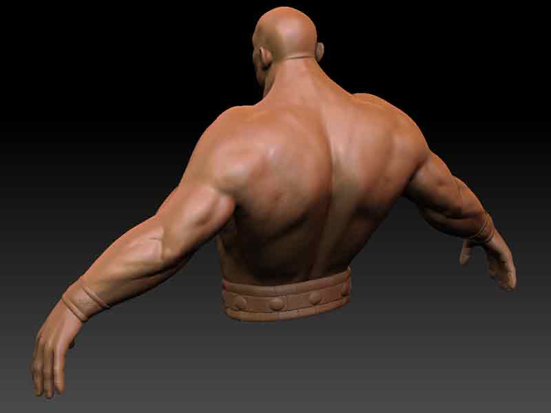 ZangiefBack.jpg