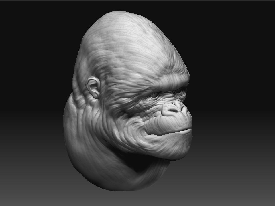 gorilla_G.jpg