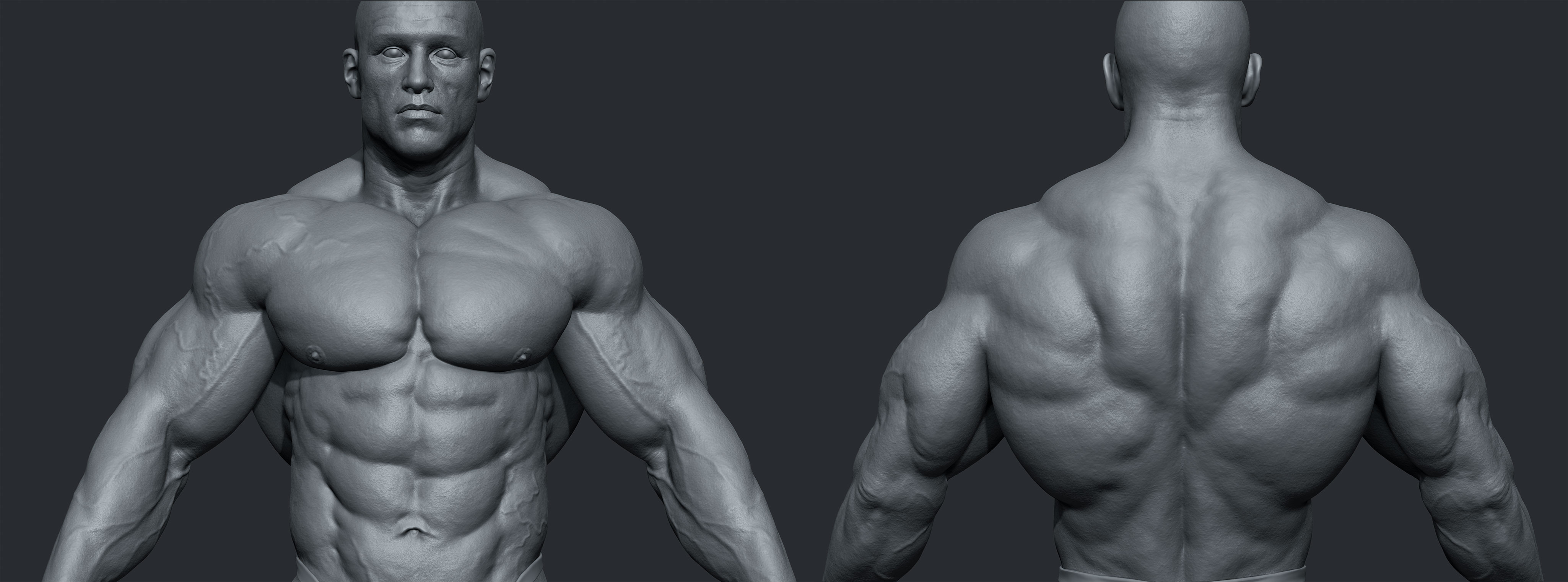 modeling musceles in zbrush