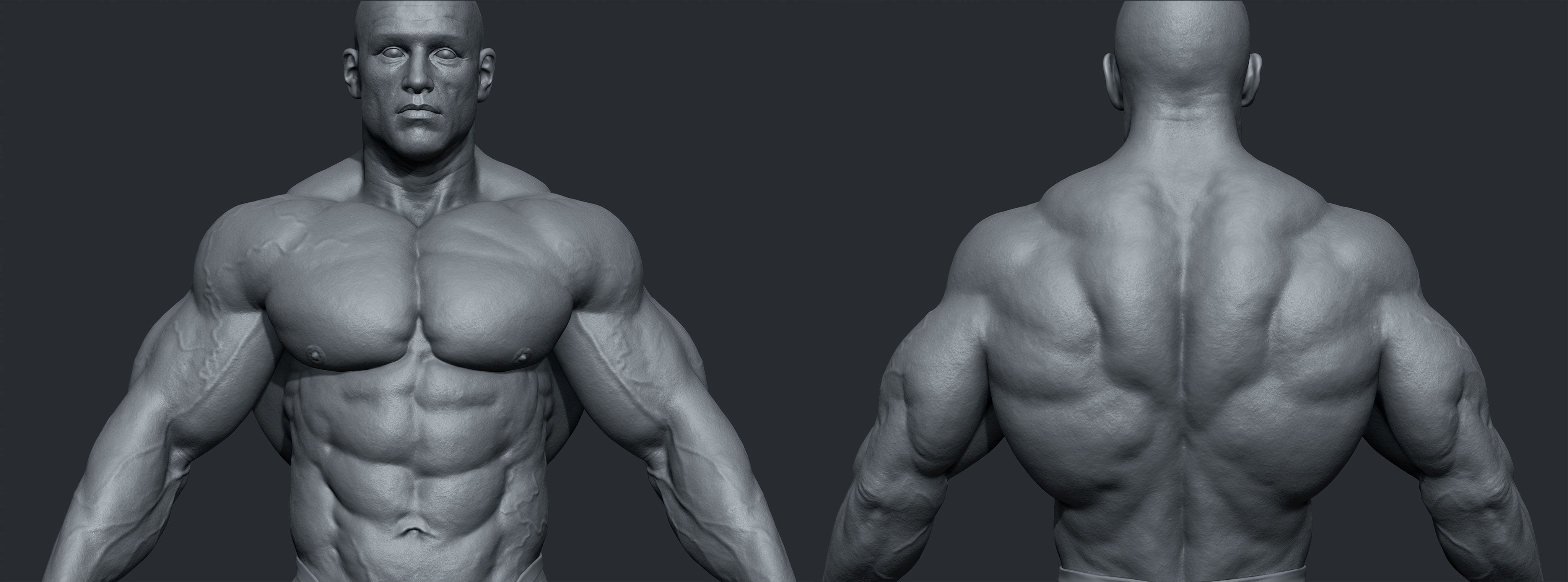 zbrush bodybuilder