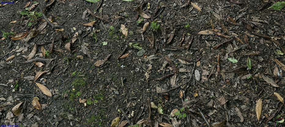 PS_Leafy_Floor_Preview_B_01.jpg