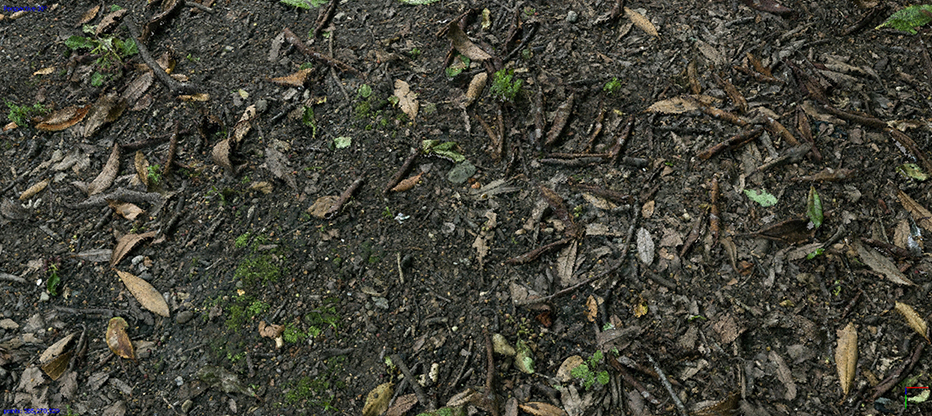 PS_Leafy_Floor_Preview_B_01.jpg
