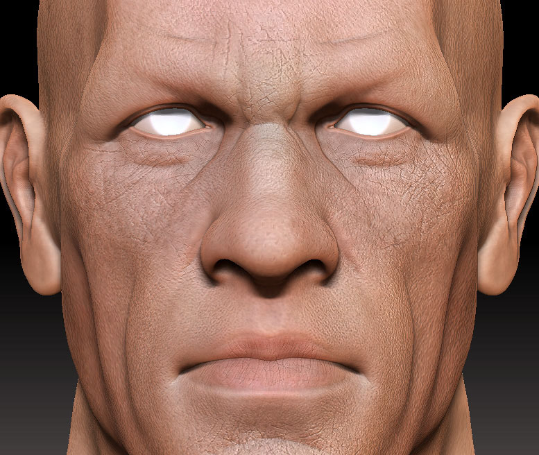 CHM45_head_WIP2.jpg