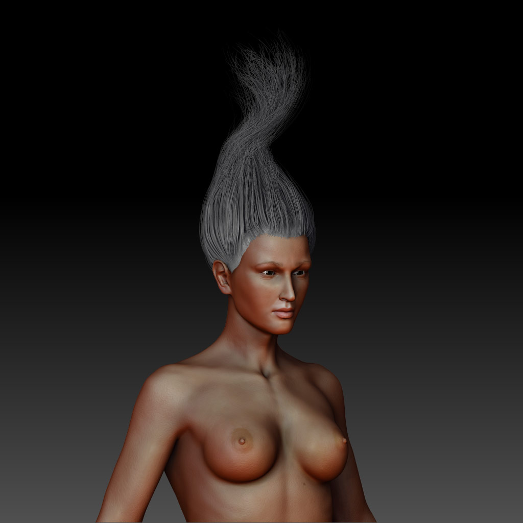 example_hairZbrush.jpg