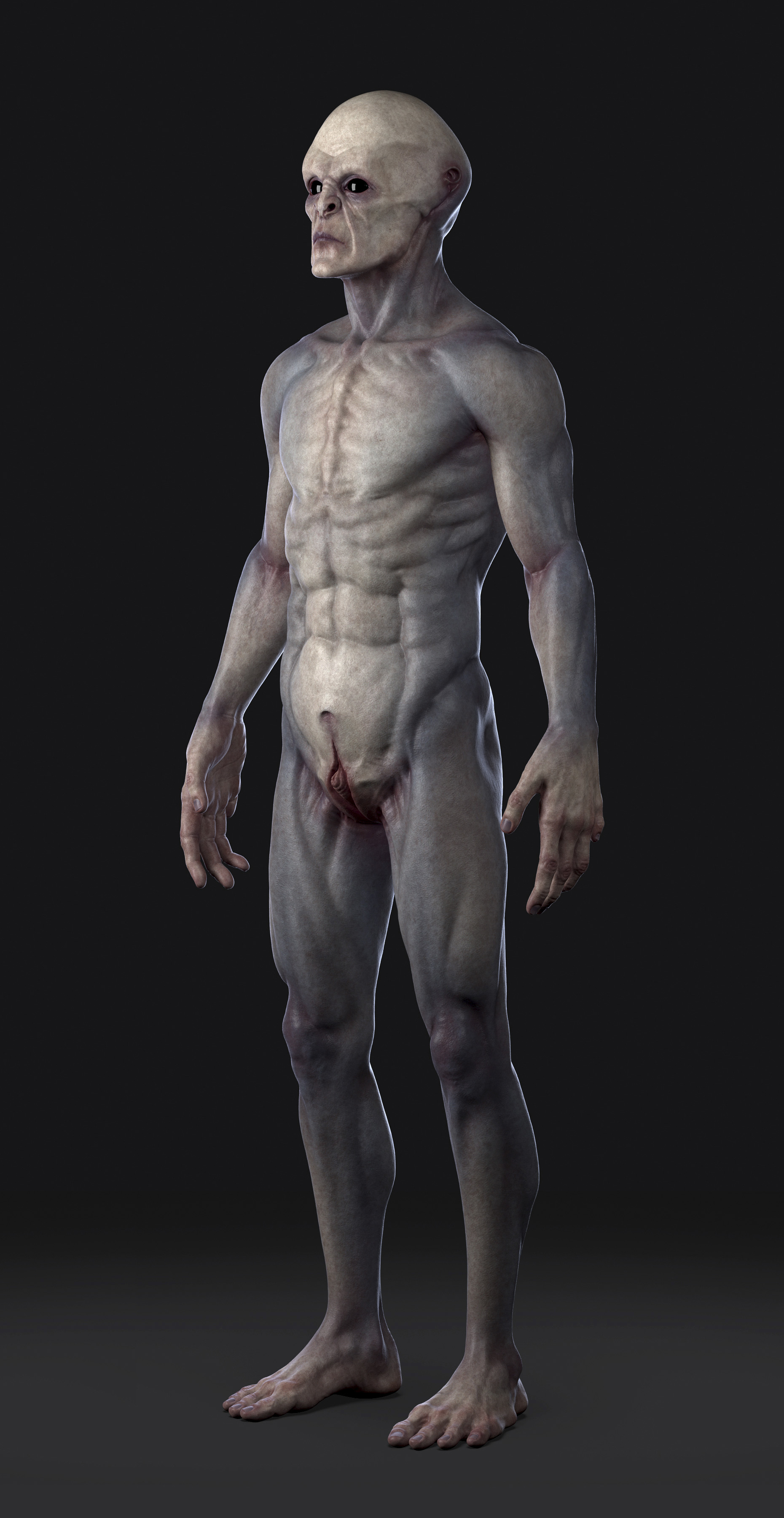 ZC_03.jpg