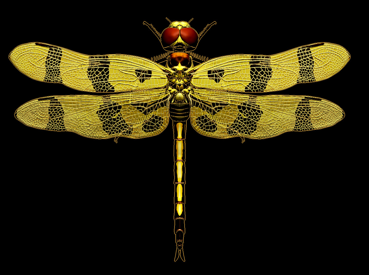 C_eponina_render_011.jpg