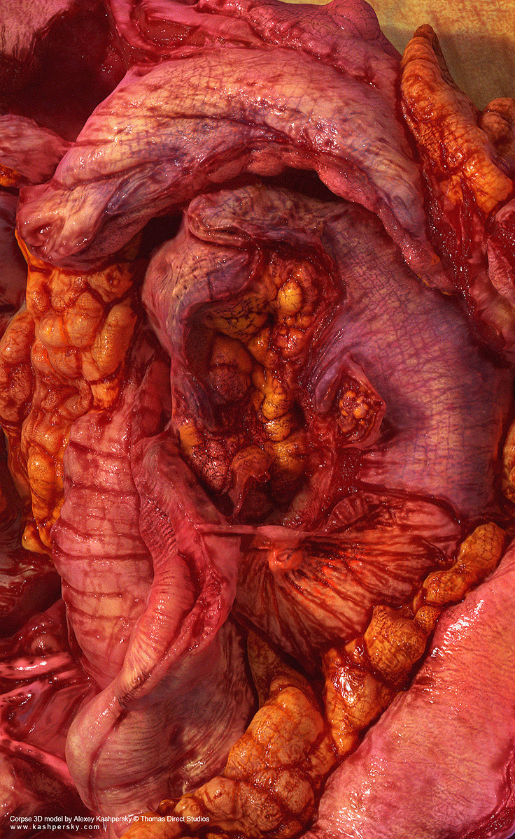corpse_f6.jpg