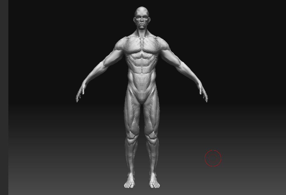 midlleeyewip_2.jpg