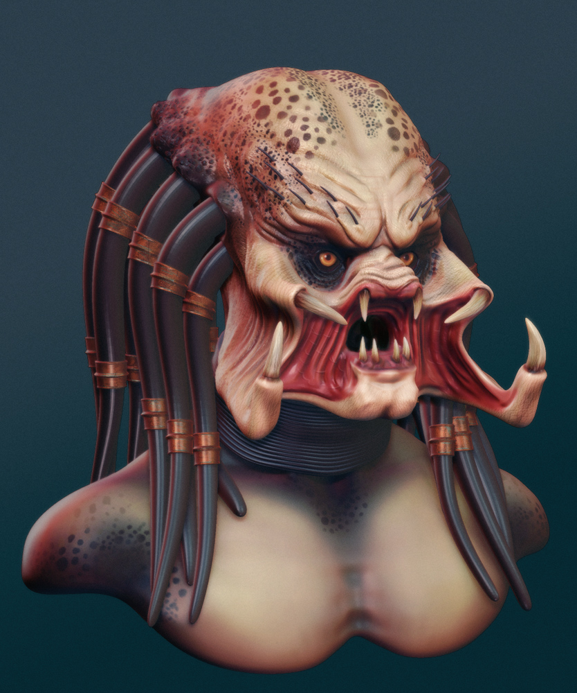 predator.jpg