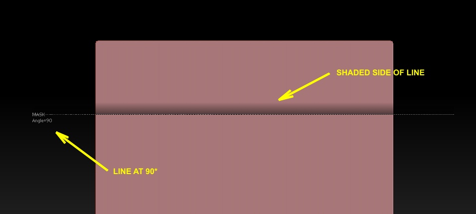 p2.JPG