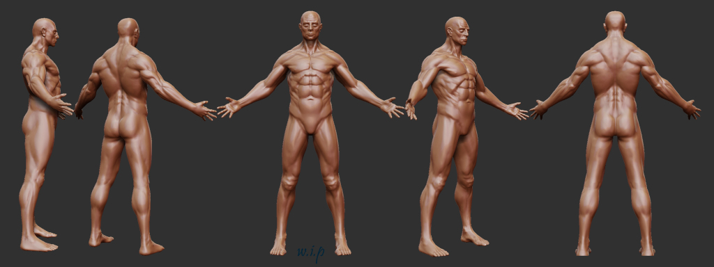 anatomyStudyWip4.jpg