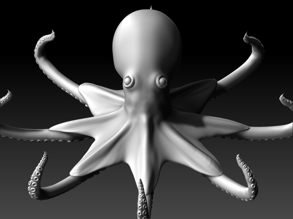 Octopus Zoom BW.jpg