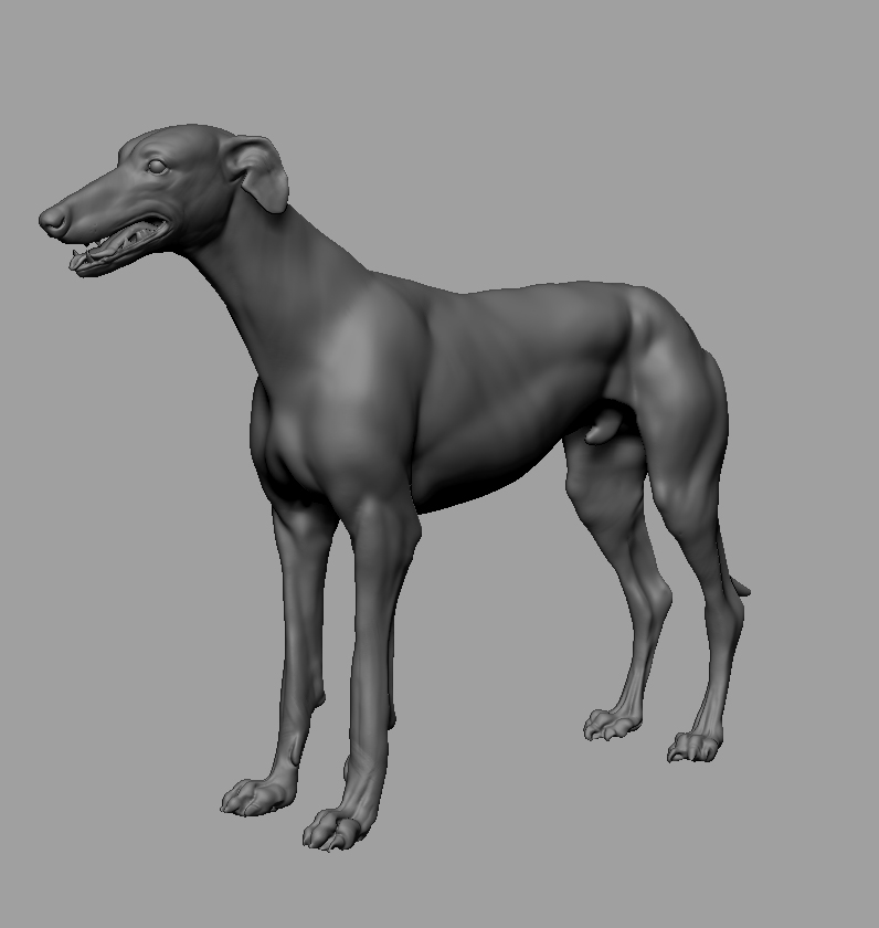 Tonie_wip2_03.jpg