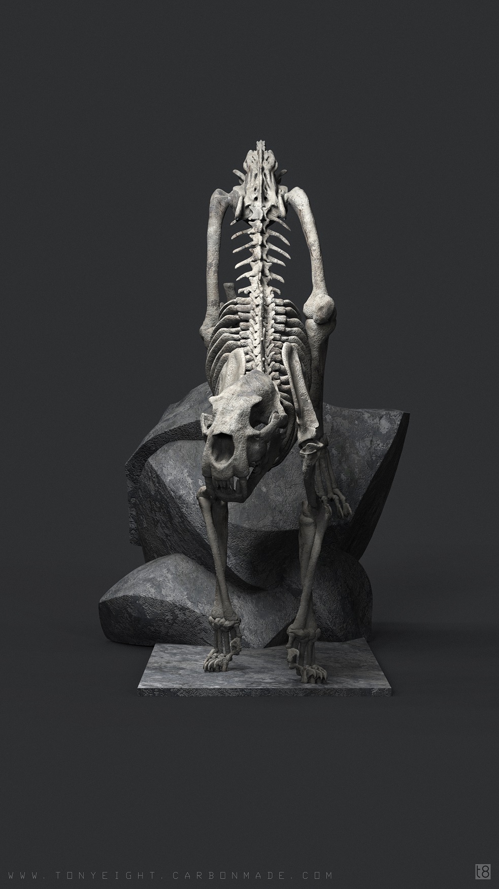 Lion_Skeleton_POSE_02.3_small.jpg