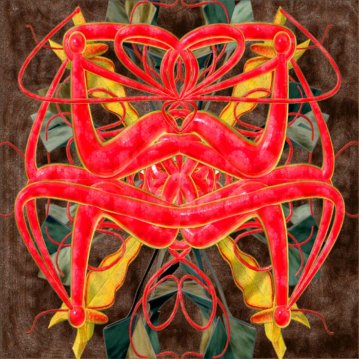 worm62.JPG